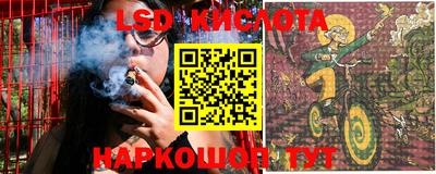 прущие грибы Новокубанск
