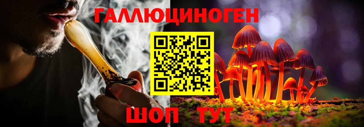 Псилоцибиновые грибы Psilocybine cubensis  Вход с VPN  Усолье-Сибирское 